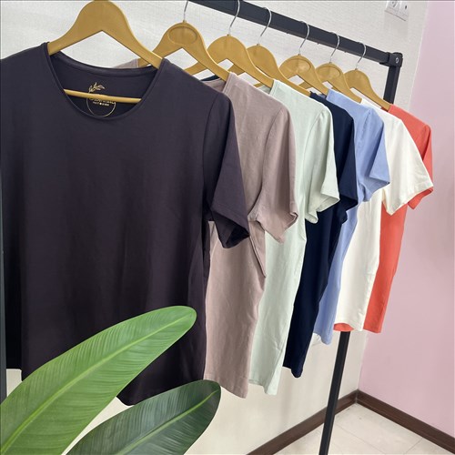 Sty-3586
